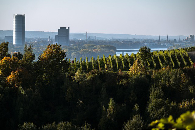 Tagesausflug nach Bonn am 09.10.2025 mit den LandFrauen